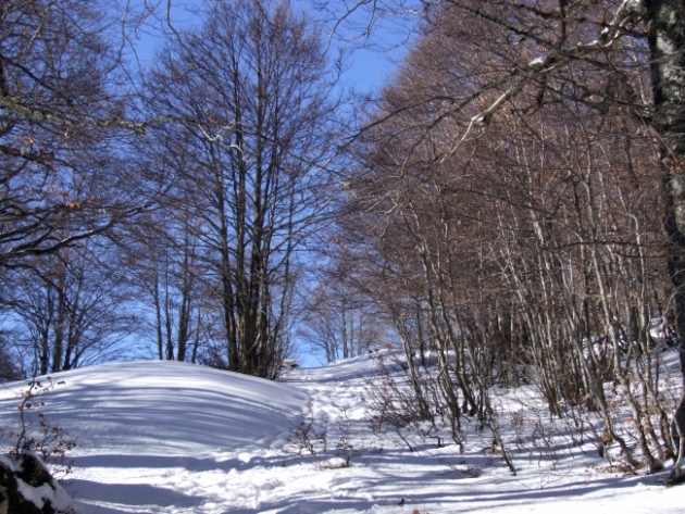 da Barrea a lago Vivo (P.N.A.)